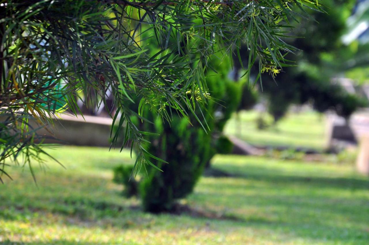 Riverside Resort Hotel Kabale Ngoại thất bức ảnh